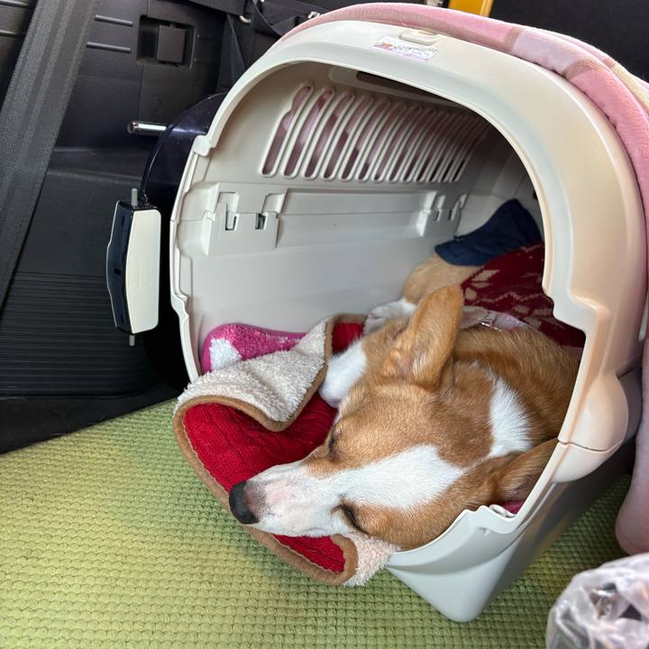 911daa2f f0ca 4fb3 abcc c366f7124fdb 1768717339897