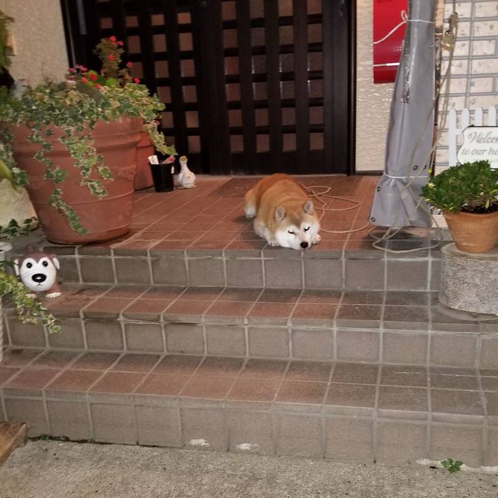 911de524 5432 451d 8abb 59c2b871dd06 1631453246855