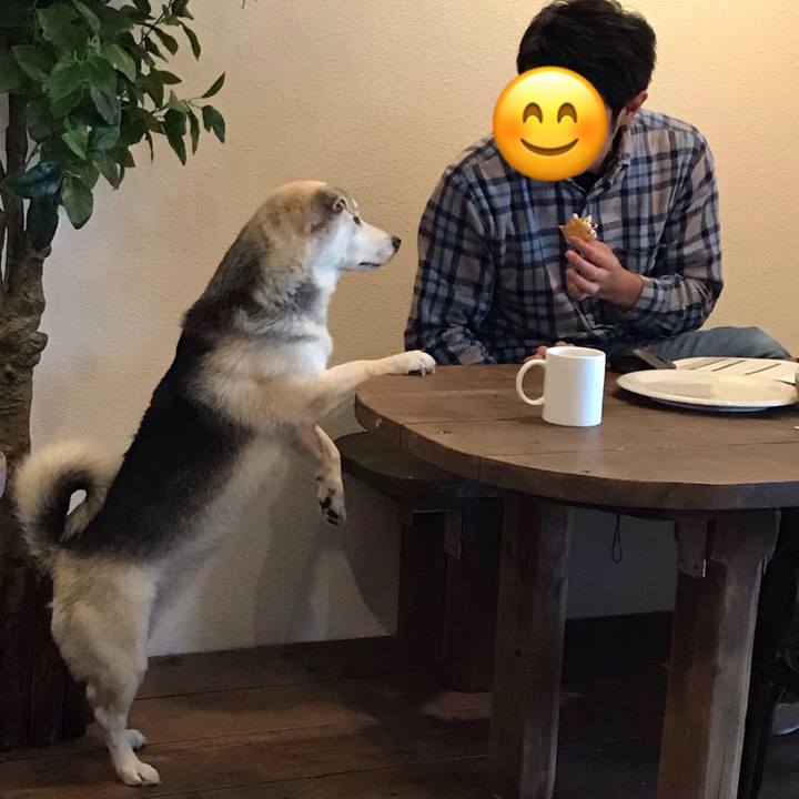 911e6724 ac0e 4ed7 98bb 76e9447be454 1580278175043