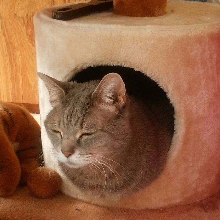 911edef7 2622 4628 a0ad 322d14b83b8e 1582421220660