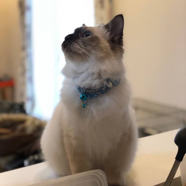 911f01d3 5fb2 4c6d ada5 af727eabe23f 1511360524089