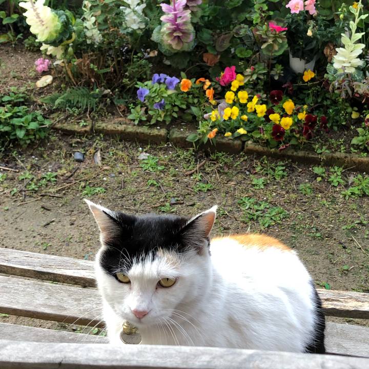 911f2586 b443 469c a3da 773157ed012b 1616024457030