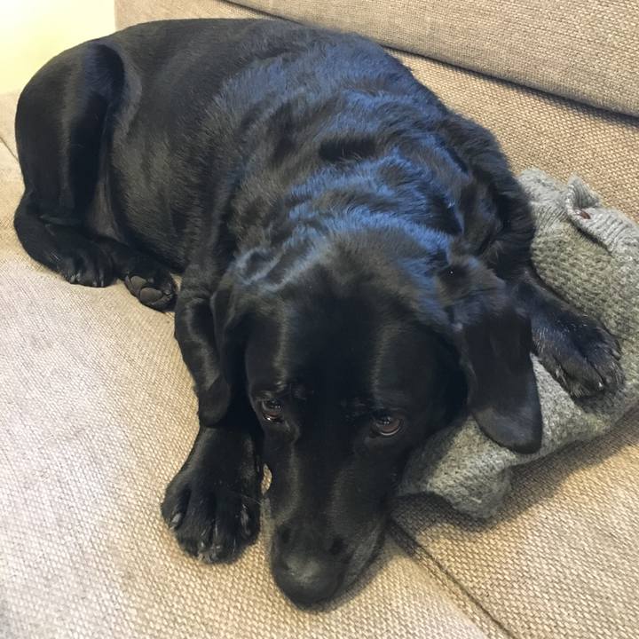 911f4eb1 b30d 46b3 b6cb c6ddc3b48561 1516077768467