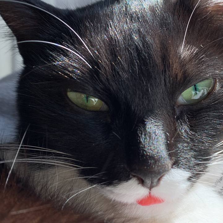 911f5ddf 88cd 4dd2 9f59 bbb807614fc2 1555119693513