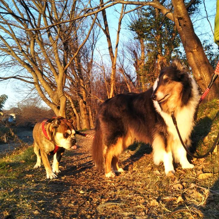 911f6630 e8e8 455a b136 7ceac6eded45 1591362923904