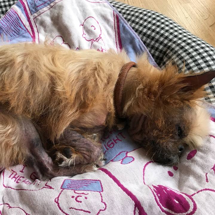 911f6fa2 f190 4412 9c4e ac79402324b2 1528789778296