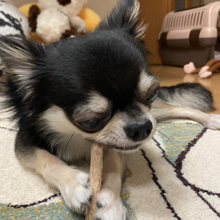 911fb984 b567 4c5d 89ad ebc9cab516bc 1621170322728