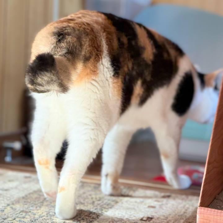 911fbd5d 4d5e 4f63 b45d 34b8aff31fd8 1771209114234