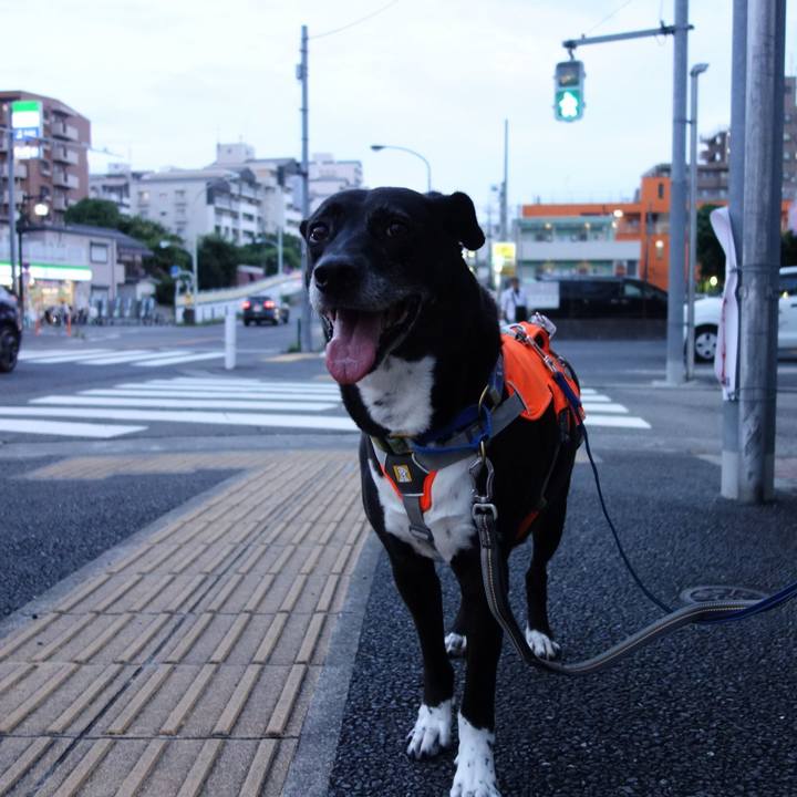 911ff877 e0ea 4357 a0b1 d943b2679e5d 1721214302707