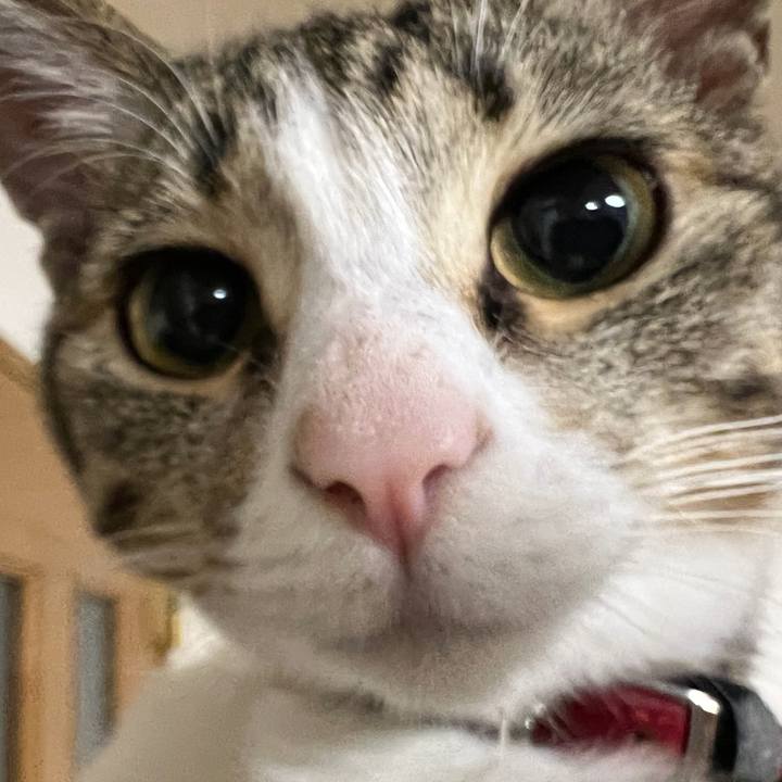 911ffc07 41ef 4ce4 87be 8c6f4bf98c74 1674237457583