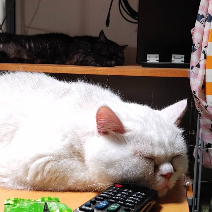 91203a2a b604 470a 98ec 6ac7bffd652b 1626947936658