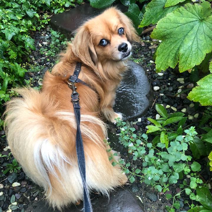 91204164 c9cf 4bca 915b 0661bd65534d 1536269618155