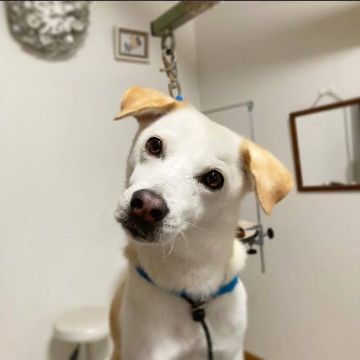 9120594b 54af 466e 94f4 9d81b533f7d4 1630582829230