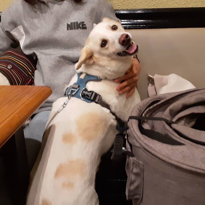 91206b99 b19a 4fdd 90ce dcf06367bf1b 1670161491724