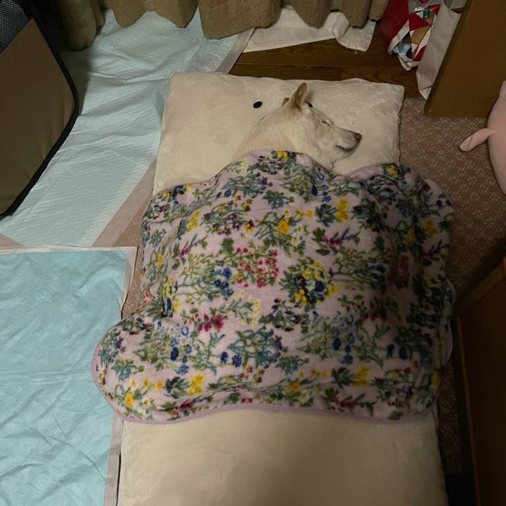 912085dc 0acd 47d1 98f0 1e47c5b95736 1641540195078