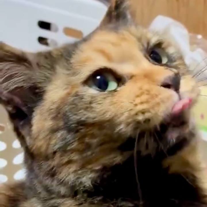 9120b4c8 1716 4966 b88b 8f26af4e4bb6 1761423805041