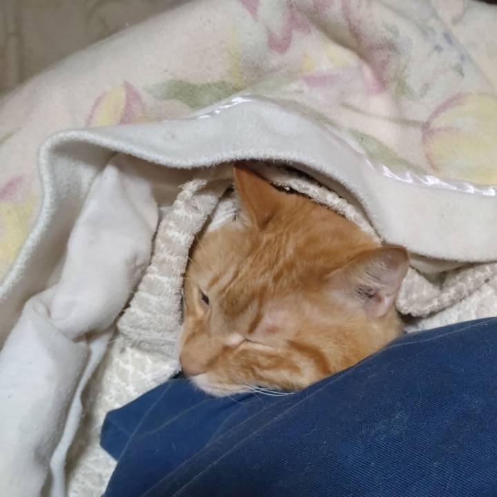 9120e86e 003f 444e 80b3 158bed9de95e 1772970754347