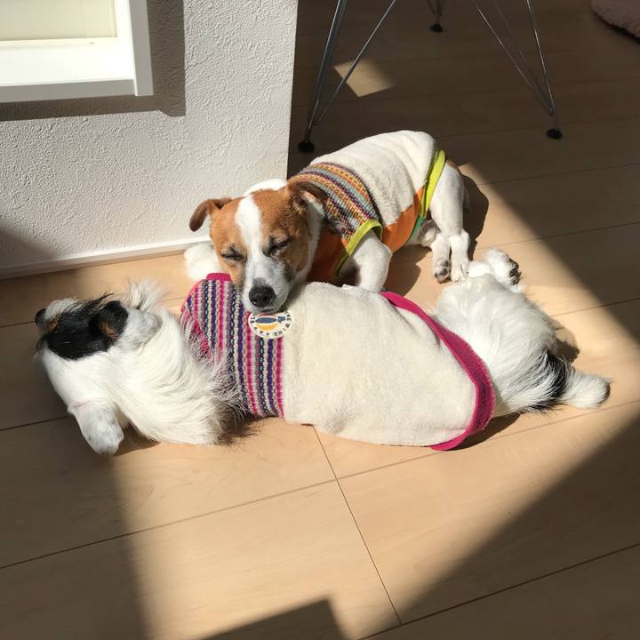 9120f536 befc 48c0 b8ac 22bf284d5bbc 1518489822050