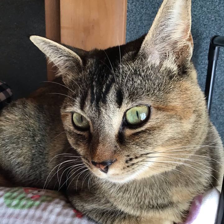 9120f841 3a29 4c64 973b 66463279ed7e 1584423189736