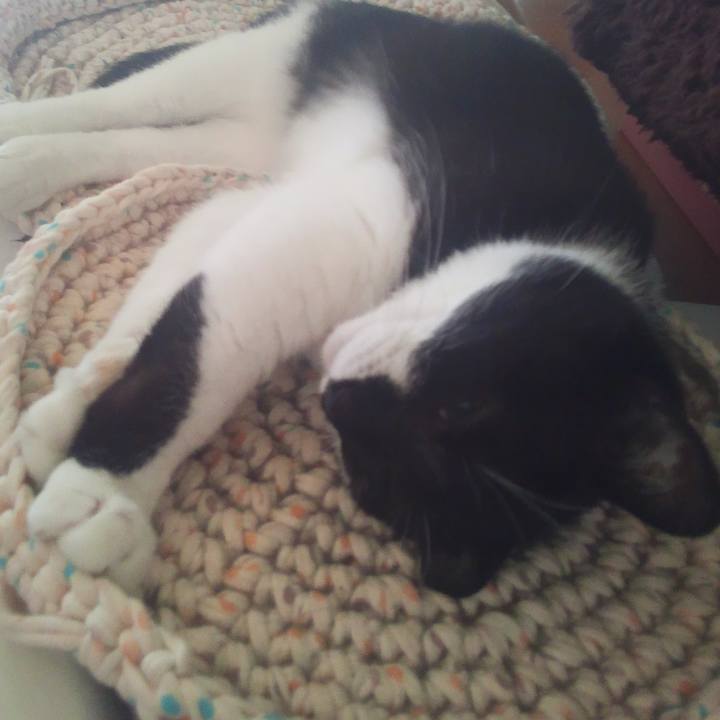 91210980 2958 4c01 9bee 03409cb1c564 1532322209916