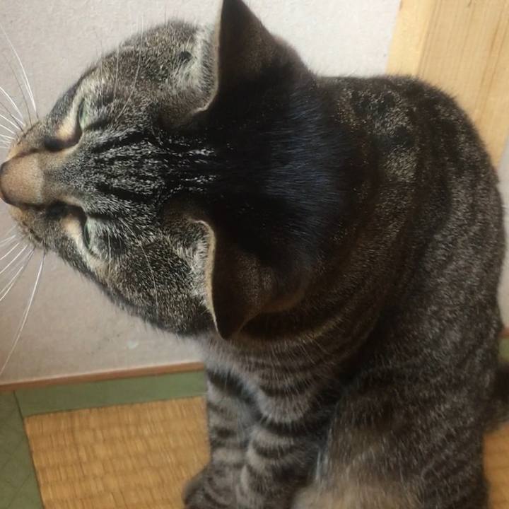 912115c9 a15a 4e33 a921 68e3ded8f453 1552565822365