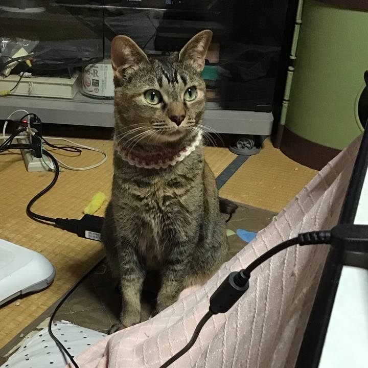 91217333 8b7d 4897 b00e 9a4f68bb3a61 1651223359591