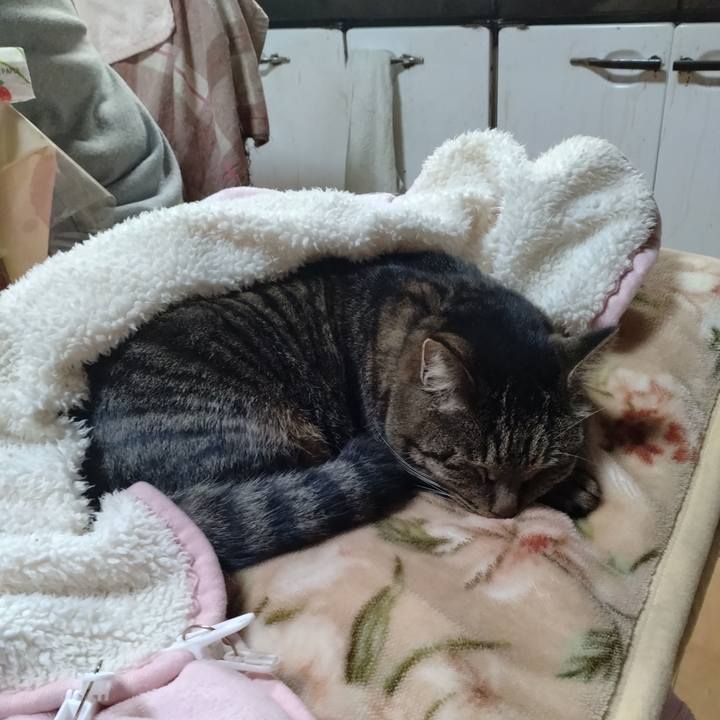 91218085 6ff3 4d54 8745 176b845fbad4 1674302218528