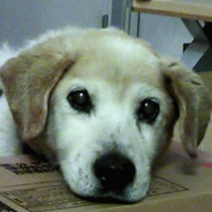 912194cc a650 4be2 b45f b0a9fe9b5fe6 1590451562526