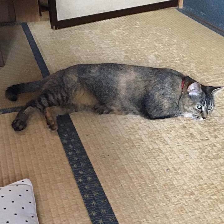 912195f7 27af 454a 873b ef49e0477dd6 1627888863816