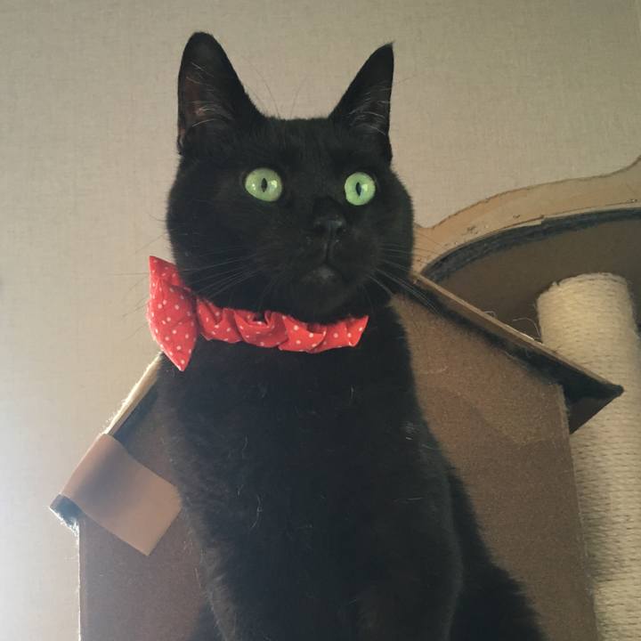 91219af1 a091 4bd5 abff b61336fee27d 1536133704704