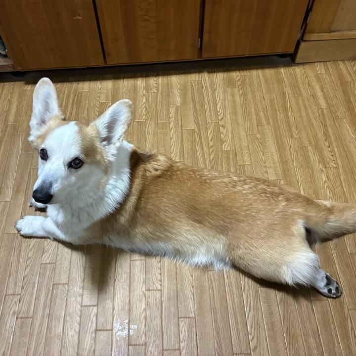 9121ab5e 16fe 4c37 a9bb 5f2c3e528013 1774228946886