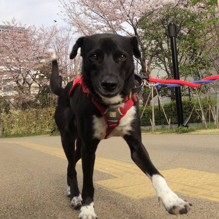 9121baca c3b7 40dd 91a2 43a1f78099e2 1586047174029