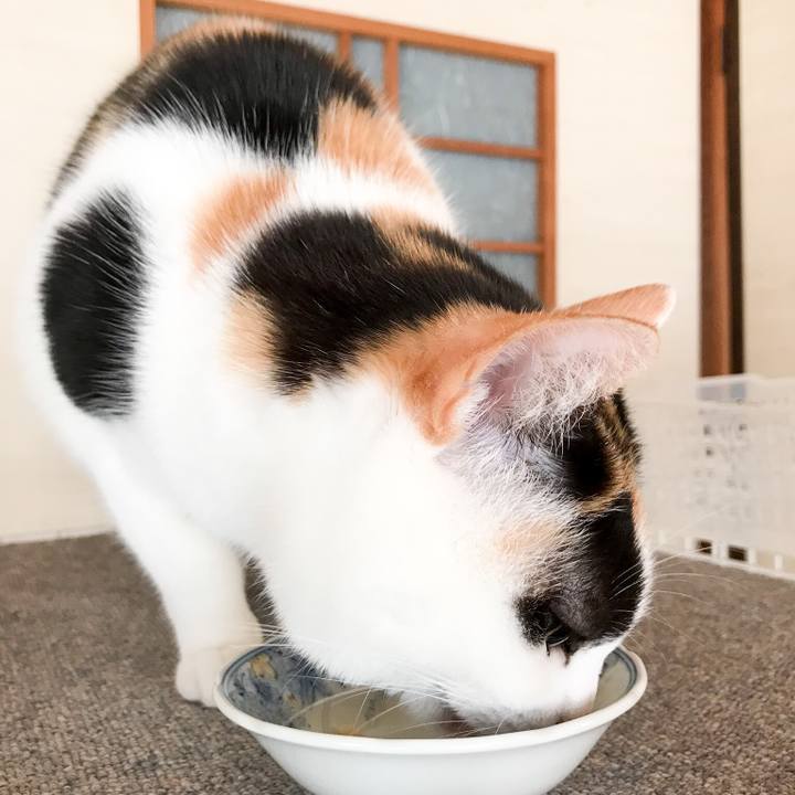 9121da50 b029 4c82 a02c 5746e7a9f887 1520864900523