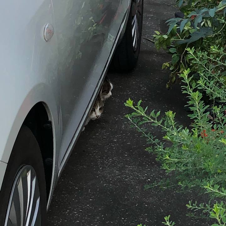 9121f526 64d4 475d 850f 10cf5405dc18 1545277368134