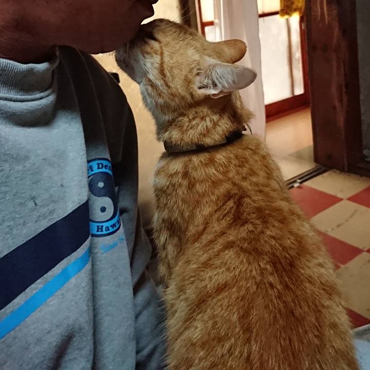 91220c4a 1f1e 4f81 8ef1 185141c1095e 1593031019783