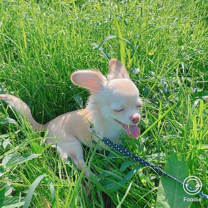 91222b61 8c39 4ec5 a43d cb4487de7d80 1602823473612