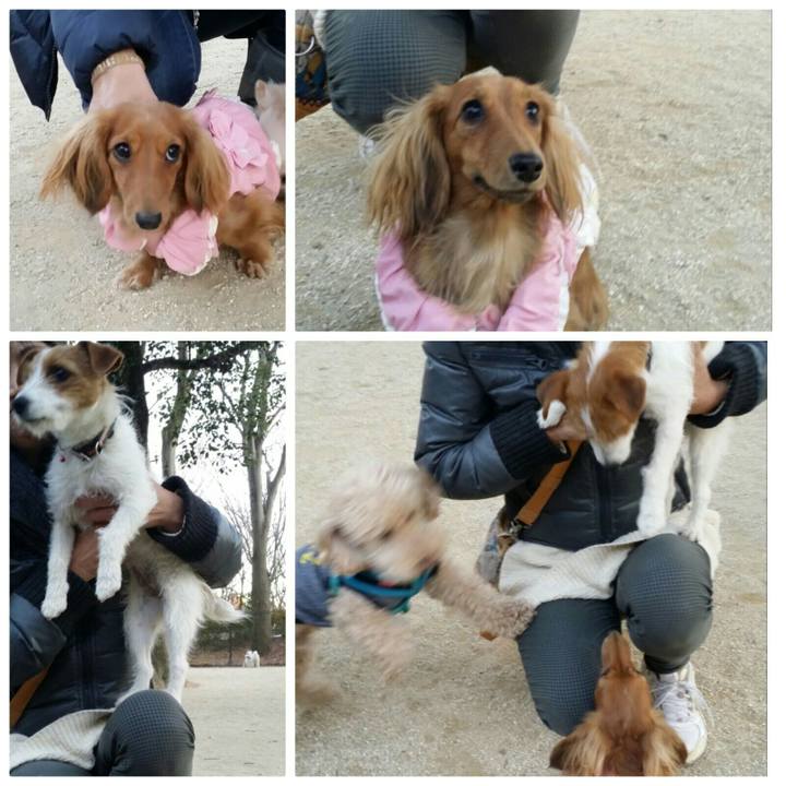 9122c62f a4b7 409b ab6f 5624b676c4fd 1515968539086