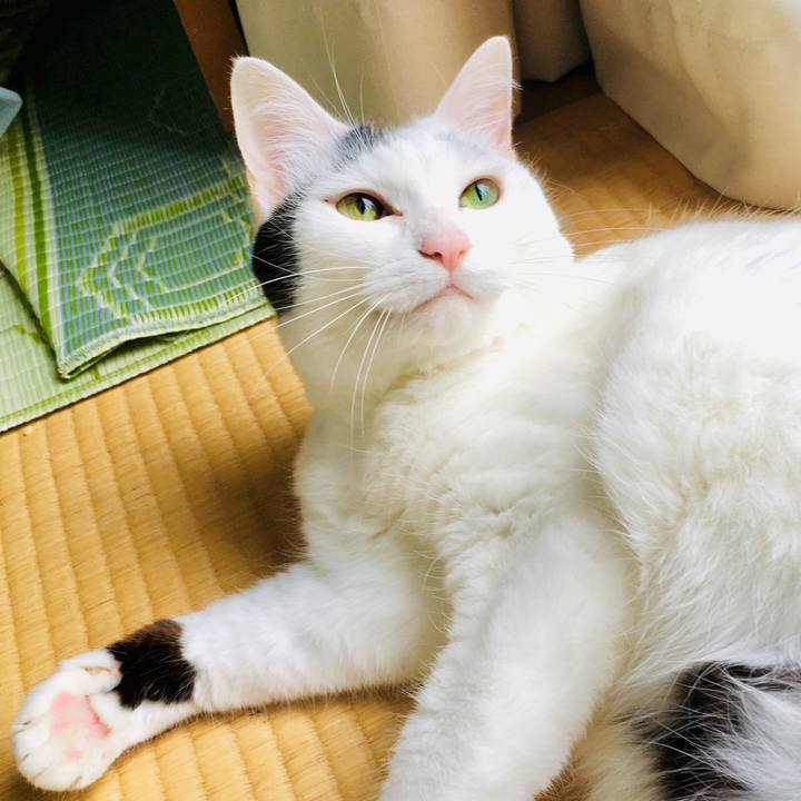 9122fc53 4ec2 408d 9ee2 cf54ab95fcd6 1562295416645