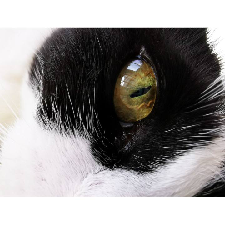 9123194a 4579 46a3 9dc9 52aaaa025e39 1661830596272