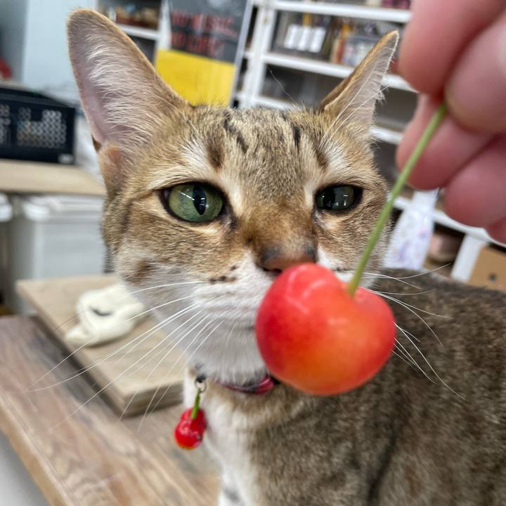 9123229a 4db8 4531 8938 acd20915993d 1750290913527