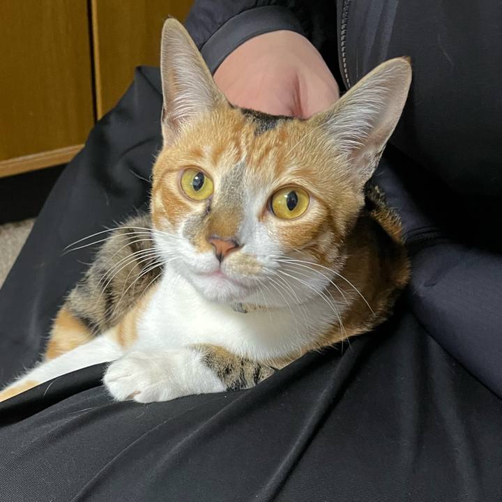 912382b5 ddd6 4b87 a670 8a2c9cddc54a 1673389586305