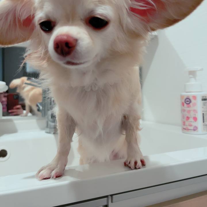 9123a992 e87f 44ac a547 b8fef6757a8c 1700646687897