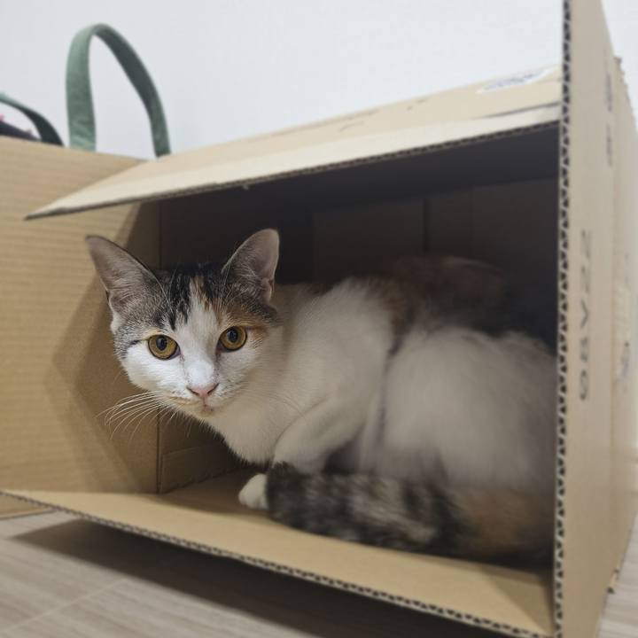 9123b6c9 3990 4001 969f 702627f74f1c 1756734386419