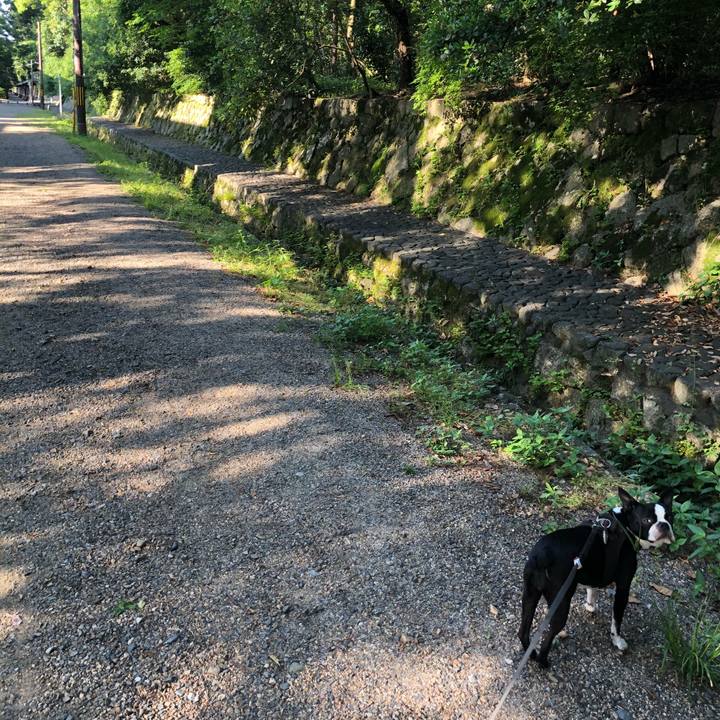 9123e558 29b7 40ca 90c3 9970c0908670 1527998471130