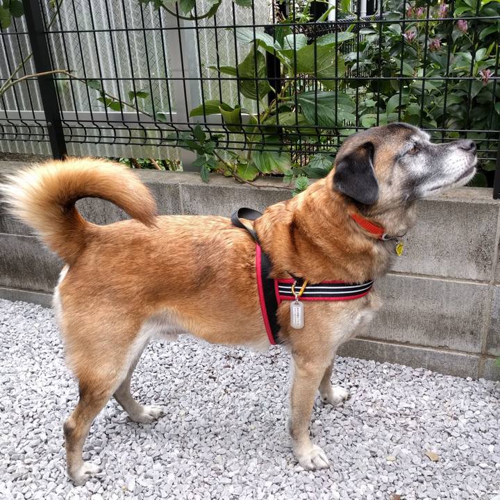 9123f9d2 1ac7 479c aa78 71510a6d9484 1693182025384