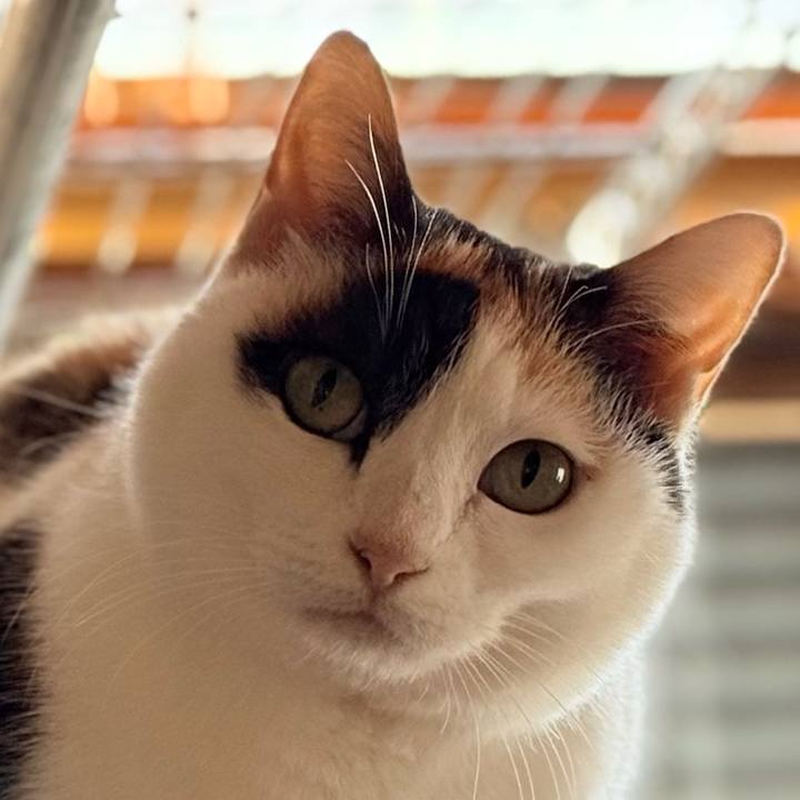 912404ee cdde 4c82 be6a af7bb980a081 1741659483584