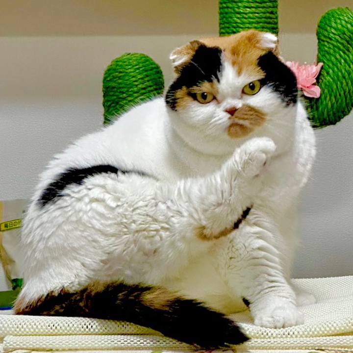 912434b6 ea20 4a5f 9933 6ba4ab76cd24 1669937886389