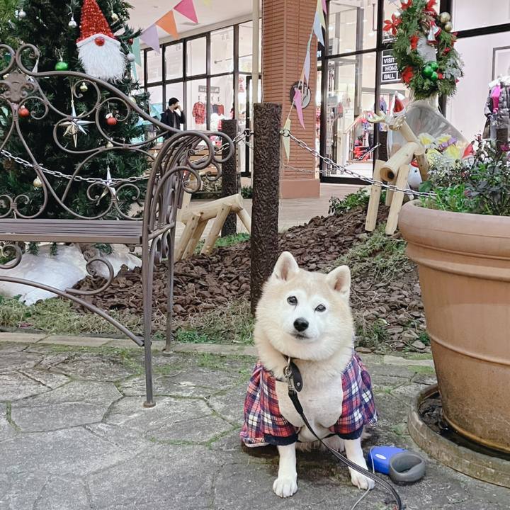 91243776 2165 4f86 88b2 9c7743d47d28 1671837281733