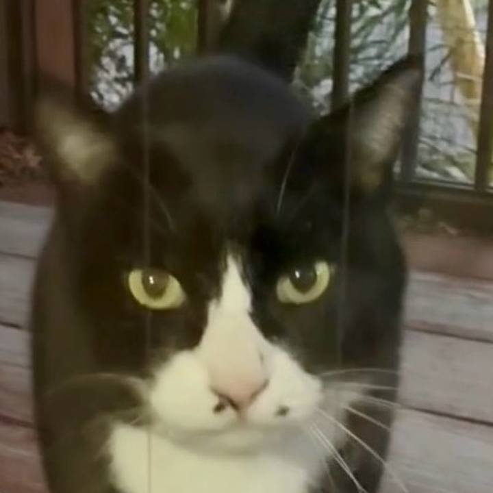 91243c81 c251 4cf6 b4d5 4bc8d8d9ff4f 1765015537092