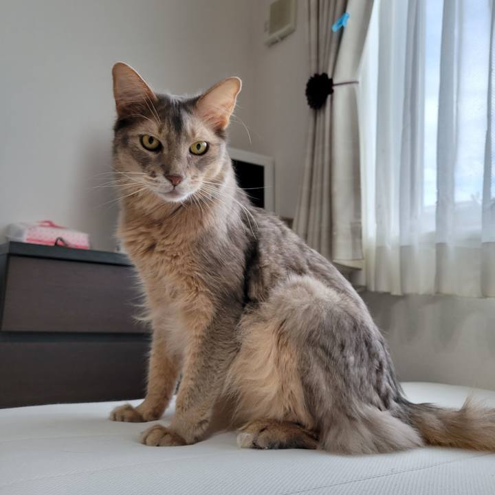 91246736 085d 49fd 9124 5bce40130e7d 1658294816808